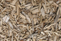 biomass boilers Colliers Hatch